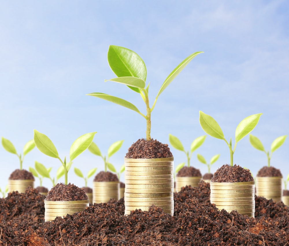Leveraged Investing