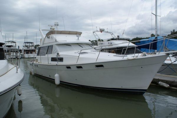 new boat