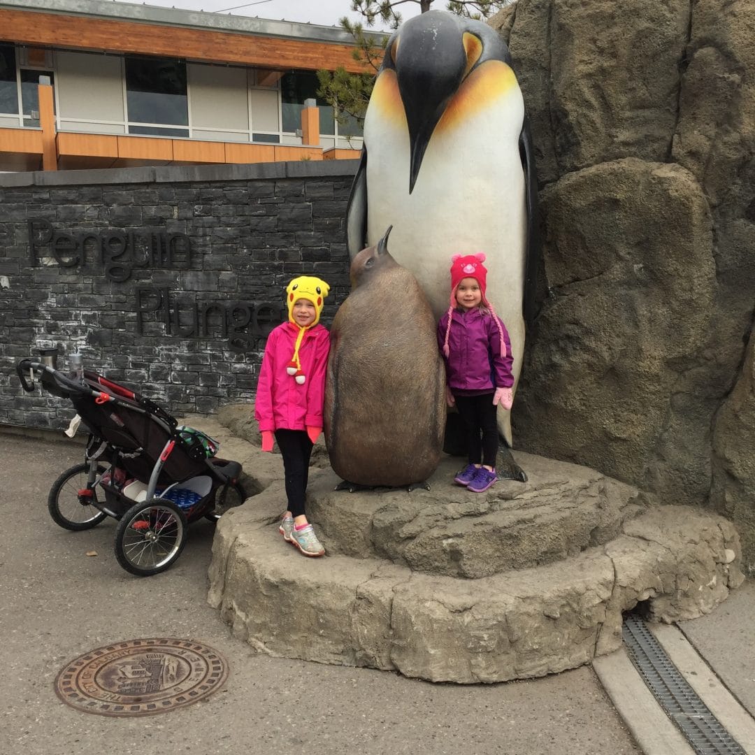 Calgary Zoo: Penguin Plunge