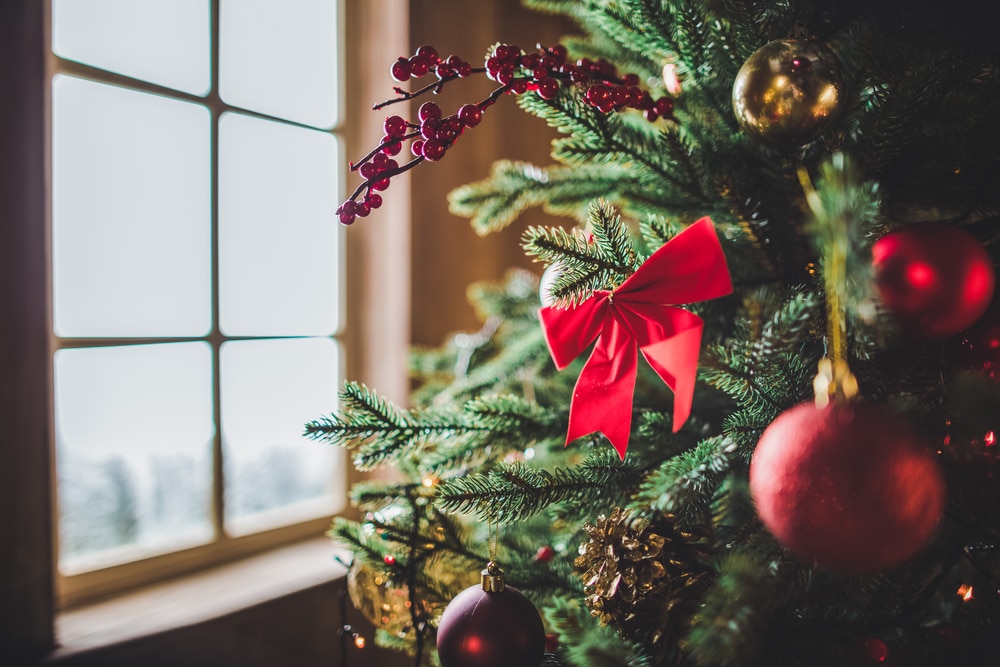 Weekend Reading: Christmas Edition