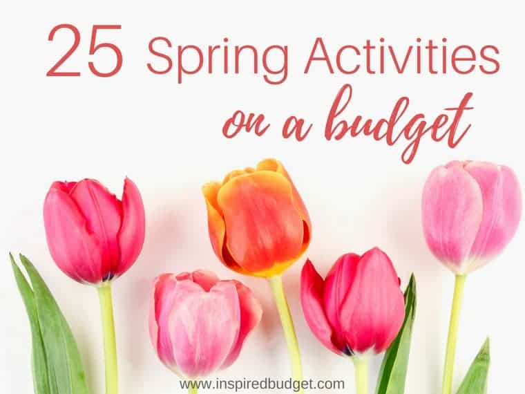 spring on a budget by www.inspiredbudget.com