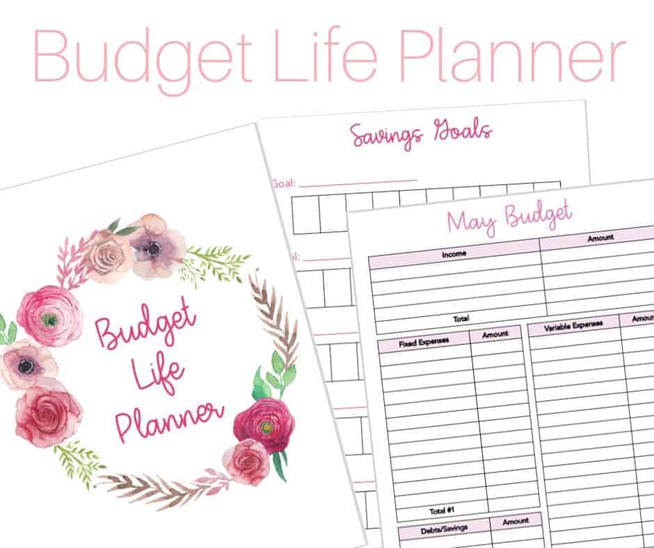 Budget Life Planner - Image 3