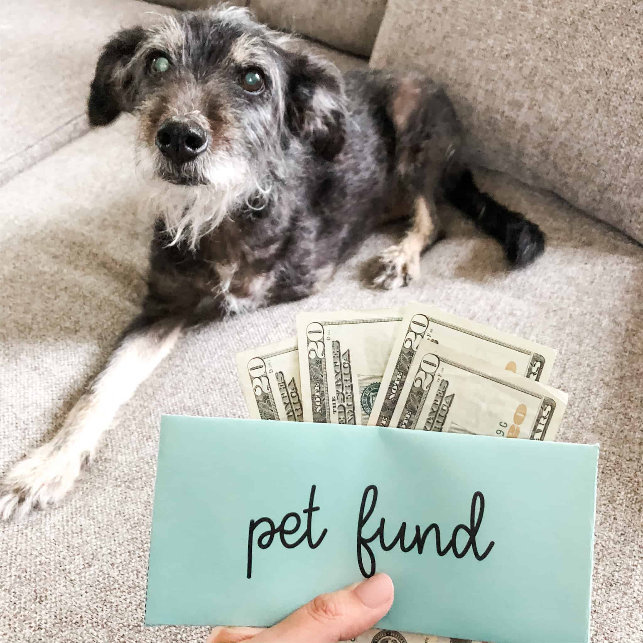 Pet Care Sinking Fund