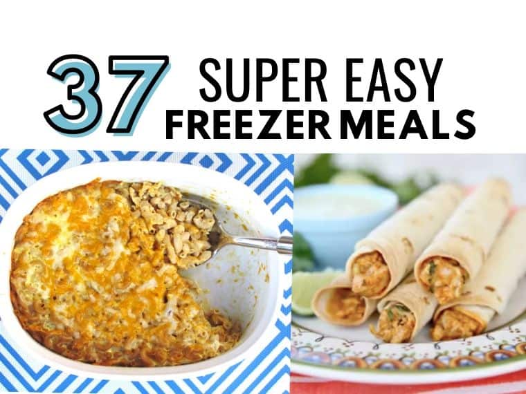 37 Easy Freezer Meals
