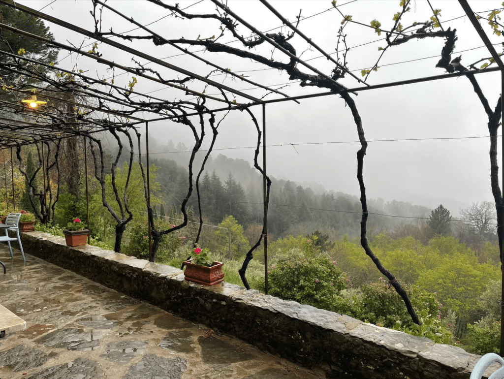 Cortona