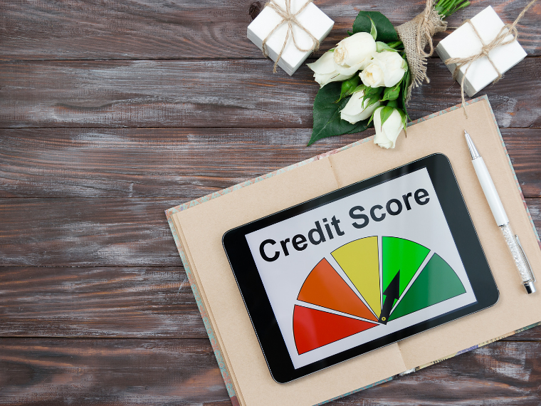 Credit score meter
