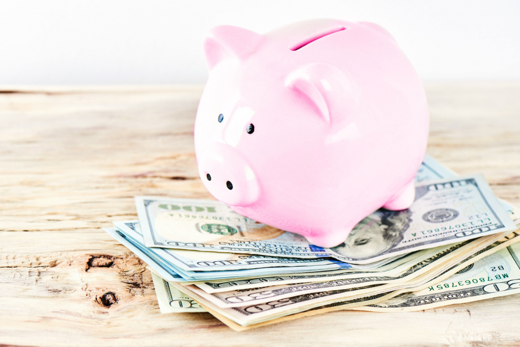 single mom on a budget