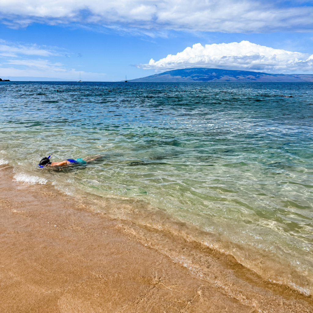 Beautiful beach in Hawaii